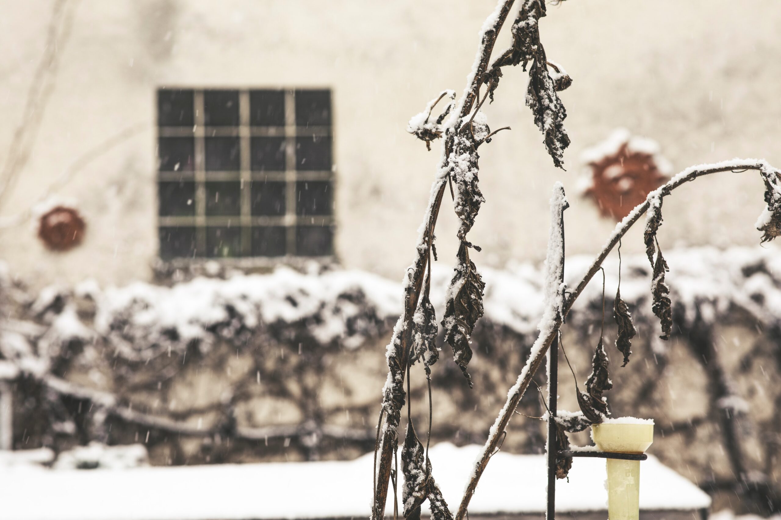 Winter Mess Winter Rest | Reflections in the Mess